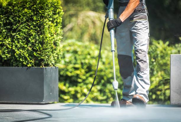 Best Driveway Pressure Washing  in Azle, TX