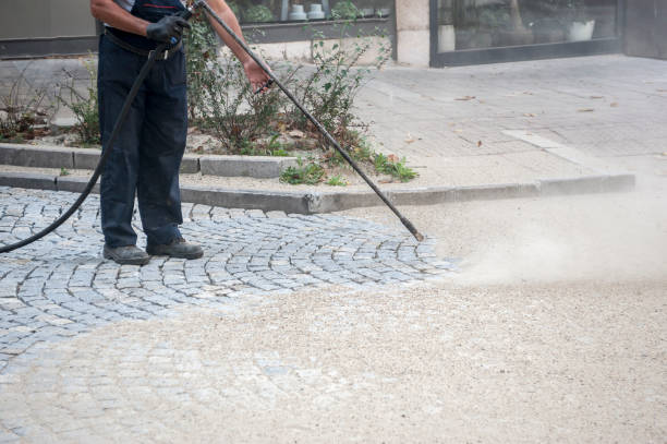 Best Fence Cleaning  in Azle, TX
